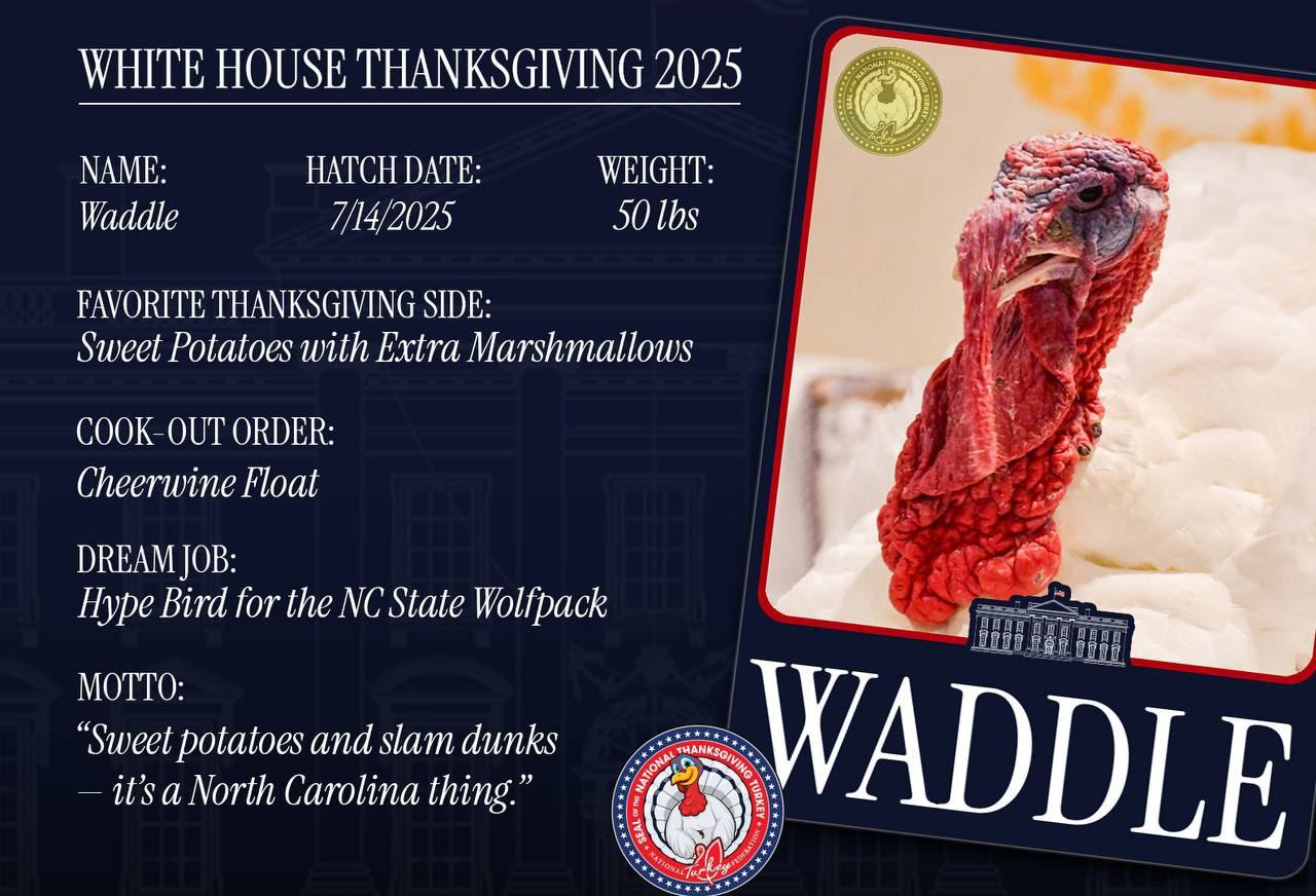 ОЙ, НЕ БЛАГОДАРИТЕ 🙂