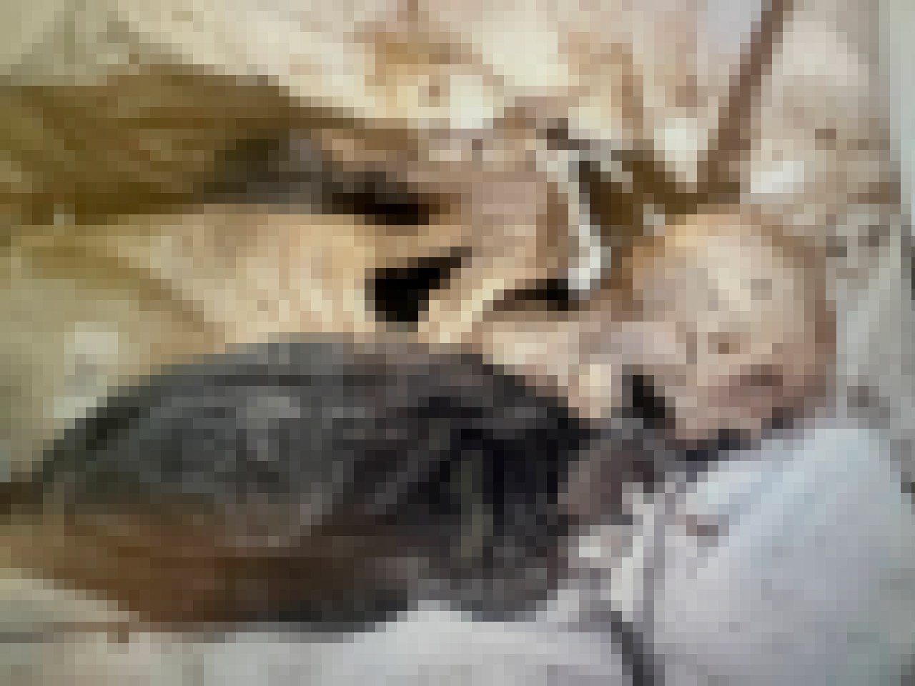 ❗️К сожалению, вскрыт ещё один вопиющий факт жестокого убийства российского военнослужащего в украинских подвалах для...