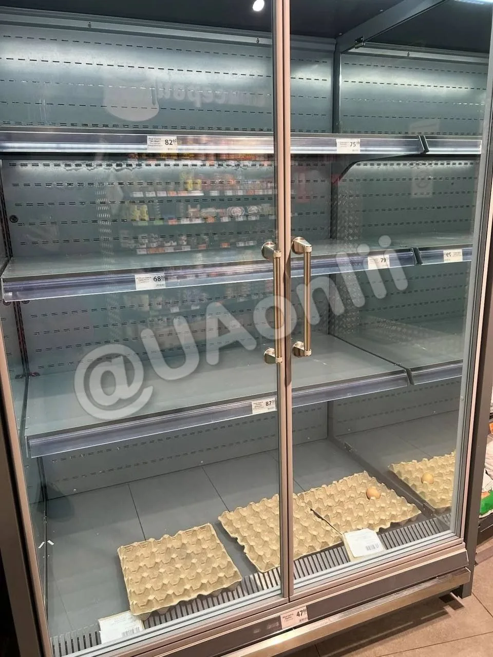 Из магазинов исчезают не только хлеб, но и яйца и мясо - в Киеве и Киевской области полки супермаркетов почти пустые