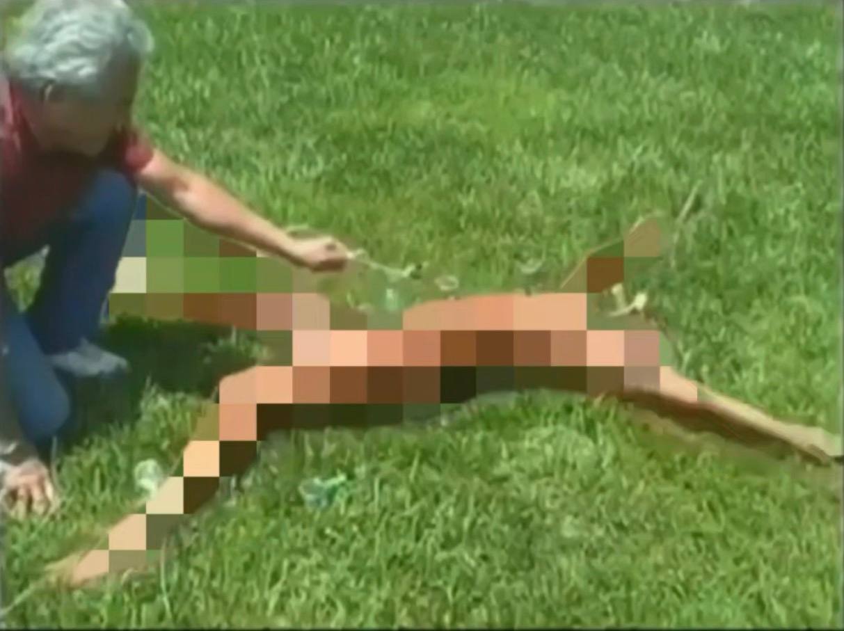 🤡 Помните комика-гомика по фамилии Останин, который глумился над ветераном войны, потерявшим обе ноги в результате по...