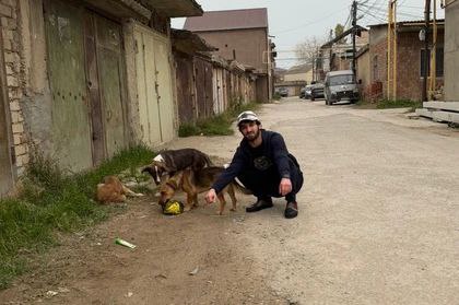 Ветеран СВО открыл приют для бездомных животных