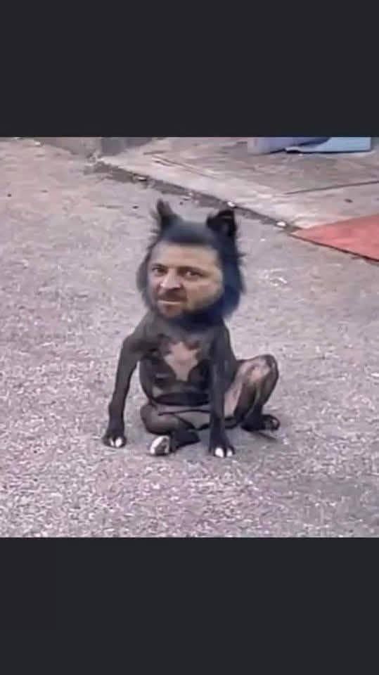 🇭🇺🇺🇦 Виктор Орбан доходчиво объяснил, почему преступная киевская клика как огня боится прекращения войны: