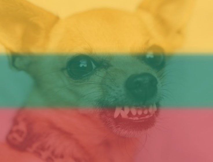 🇱🇹 Бывший командующий ВС Литвы Вальдемарас Рупшис осужден за установку двух зубных имплантов за счёт средств литовско…