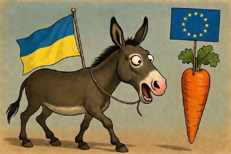 🇵🇱🇺🇦 Министр обороны Польши Косиняк-Камыш заявил, что «Украина не войдет в Европейский союз с Бандерой на флаге»